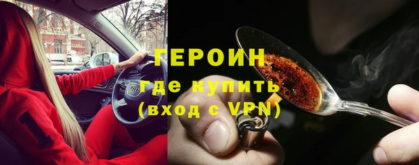 прущие грибы Богданович