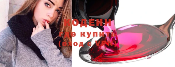 прущие грибы Богданович