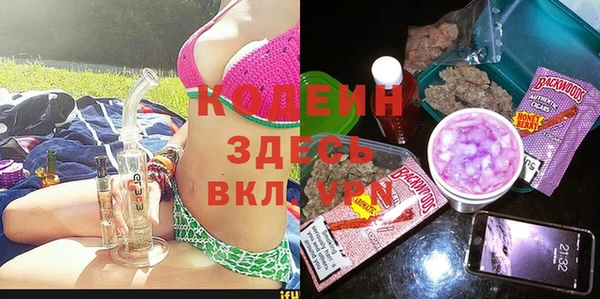 прущие грибы Богданович