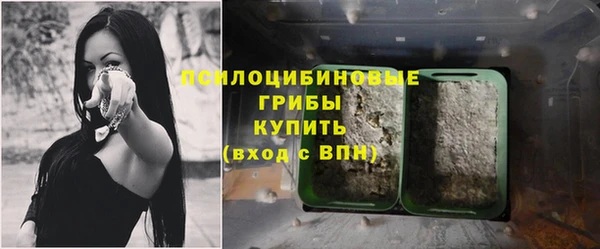 а пвп мука Богородск