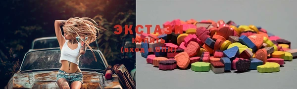 шишки Богородицк