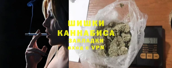 шишки Богородицк