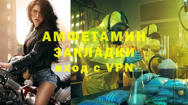 прущие грибы Богданович
