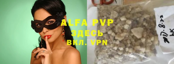 прущие грибы Богданович