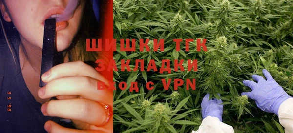 прущие грибы Богданович