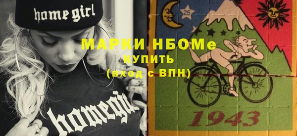 шишки Богородицк