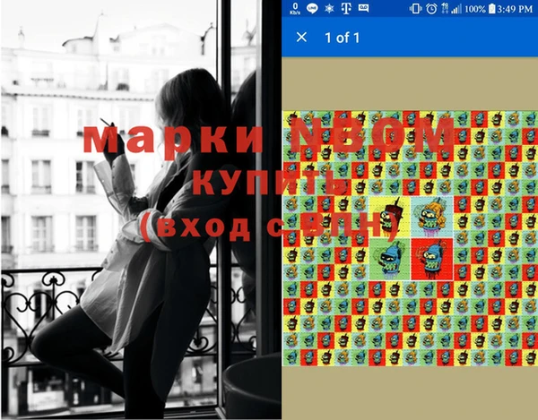 шишки Богородицк