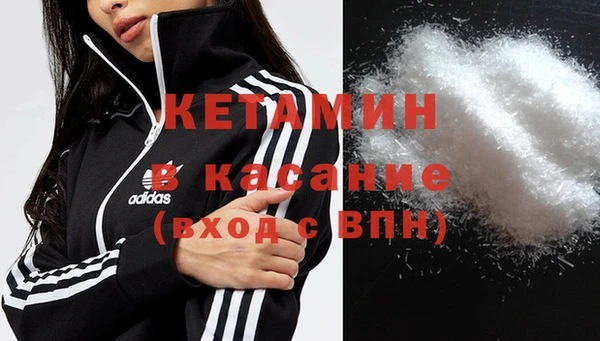 прущие грибы Богданович