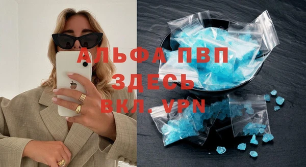 шишки Богородицк