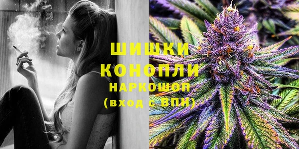 шишки Богородицк