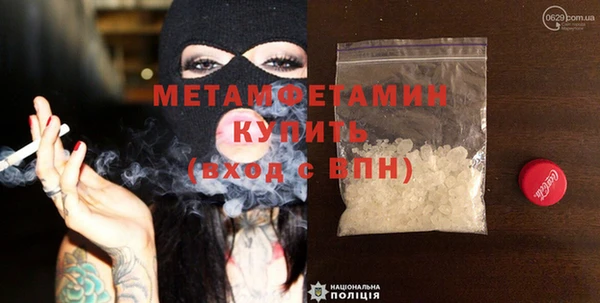 прущие грибы Богданович