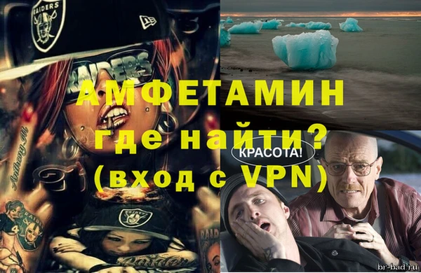прущие грибы Богданович