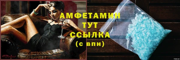 прущие грибы Богданович