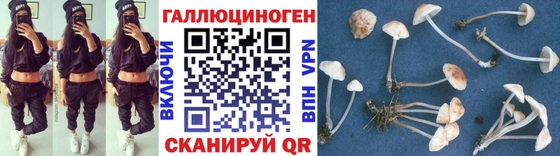 Купить где  Приволжск  Псилоцибиновые грибы GOLDEN TEACHER 